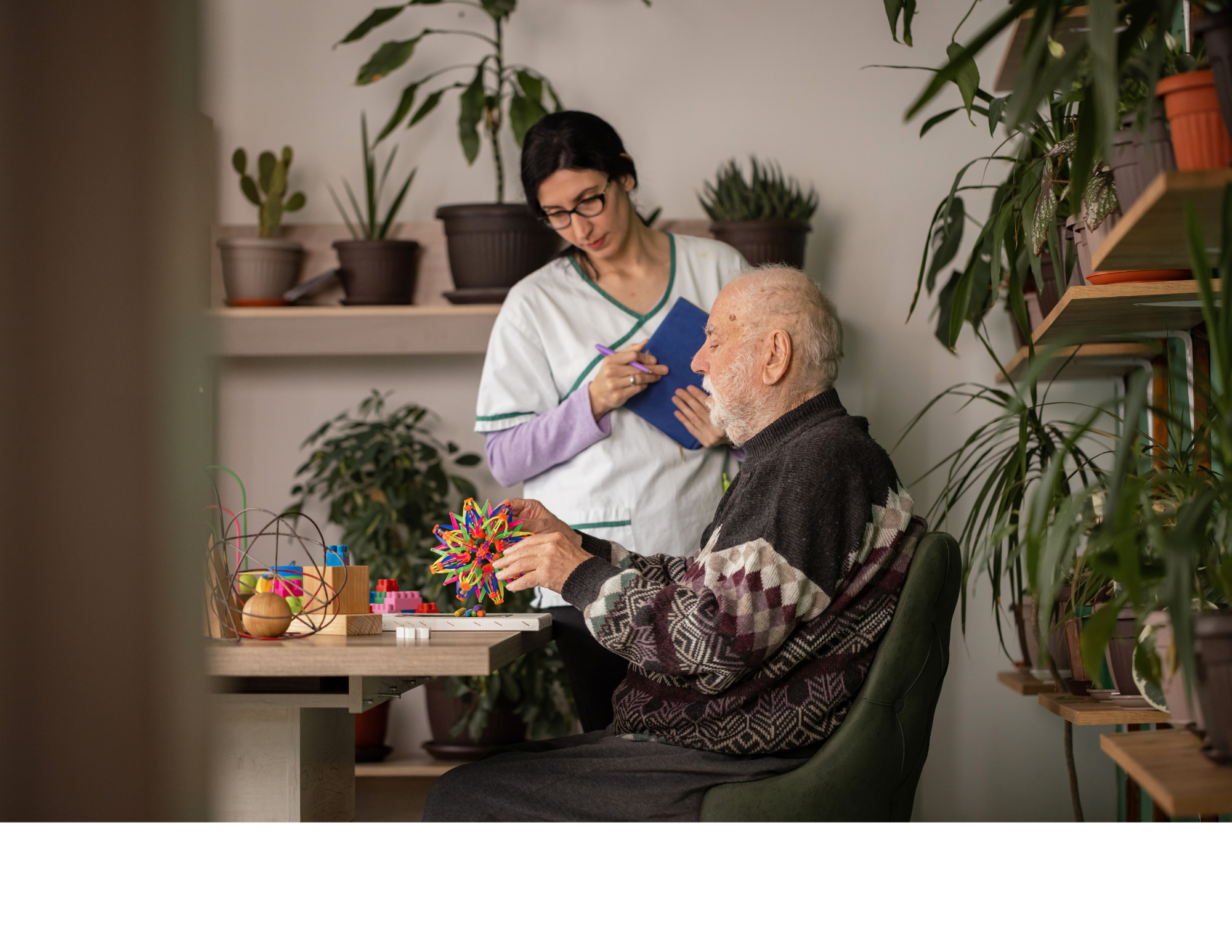 Companion Care service